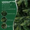 imageGoplus 9 FT PreLit Pencil Christmas Tree Artificial Snow Flocked Hinged Fake Slim Xmas Tree with 470 WarmWhite LED Lights 1310 Branch Tips 98 Pine Cones for Office Home DecorationGreen