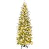 Green-pencil Tree