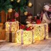 imageGoplus Set of 3 Christmas Lighted Gift Boxes Decorations 60 LED Warm White Light Up Boxes with Red Bowknots Lighted Xmas Boxes for Christmas Tree Holiday Indoor Outdoor DecorsSnowy