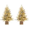 imageGoplus 4ft PreLit Christmas Tree for Entrances Artificial Potted Xmas Tree with 100 LED Lights Timer 3 Lighting Modes 116 Branch Tips Pine Needles Antique Urn Base Porch Indoor Holiday DecorSnowy Prelit
