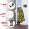 imageGoplus 4ft PreLit Christmas Tree for Entrances Artificial Potted Xmas Tree with 100 LED Lights Timer 3 Lighting Modes 116 Branch Tips Pine Needles Antique Urn Base Porch Indoor Holiday DecorPine Needle Tree