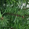 imageGoplus 3ft Tabletop Mini Christmas Tree Artificial Small Christmas Tree with 96 PVC Branch Tips Cloth Bag Base Green Spruce Xmas Tree for Home Office Decoration No Assembly Required3ft
