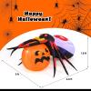 imageGoplus 5 Ft Length Halloween Inflatables Spider Outdoor Decoration with Pumpkin Magic Disco Light Shimmering Red Eyes Builtin LED Lights Blow up Yard Decoration for Party Yard Lawn Patio