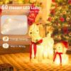 imageGoplus Lighted 2 Pieces Poodle Dogs Family Prelit Christmas Yard Decoration with 60 Warm White LED Lights Red Hat ampamp Scarf Easy Setup Christmas Holiday Dog Set Ornaments for Outdoor Indoor