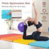 imageGoplus Gymnastics Mat 6x4 3Panel66x25 5Panel Folding Tumbling Mat wCarrying Handles HookampampLoop Fastener Portable PU Leather Rainbow Exercise Mat for Home Gym Aerobics Yoga5Panel 5 Color