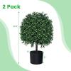 imageGoplus 22 Artificial Boxwood Topiary Ball Tree Set of 2 UV Resistant Faux Potted Plants Artificial Shrubs Bushes with Orange Fruits Fake Evergreen Artificial Topiary for Home Front Porch DecorWhite Fruits