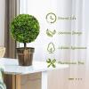 imageGoplus 22 Artificial Boxwood Topiary Ball Tree Set of 2 UV Resistant Faux Potted Plants Artificial Shrubs Bushes with Orange Fruits Fake Evergreen Artificial Topiary for Home Front Porch DecorGreen