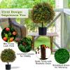 imageGoplus 22 Artificial Boxwood Topiary Ball Tree Set of 2 UV Resistant Faux Potted Plants Artificial Shrubs Bushes with Orange Fruits Fake Evergreen Artificial Topiary for Home Front Porch DecorOrange