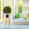 imageGoplus 22 Artificial Boxwood Topiary Ball Tree Set of 2 UV Resistant Faux Potted Plants Artificial Shrubs Bushes with Orange Fruits Fake Evergreen Artificial Topiary for Home Front Porch DecorOrange