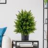 imageGoplus 22 Artificial Boxwood Topiary Ball Tree Set of 2 UV Resistant Faux Potted Plants Artificial Shrubs Bushes with Orange Fruits Fake Evergreen Artificial Topiary for Home Front Porch DecorCedar Tree