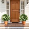 imageGoplus 22 Artificial Boxwood Topiary Ball Tree Set of 2 UV Resistant Faux Potted Plants Artificial Shrubs Bushes with Orange Fruits Fake Evergreen Artificial Topiary for Home Front Porch DecorWhite