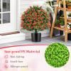 imageGoplus 22 Artificial Boxwood Topiary Ball Tree Set of 2 UV Resistant Faux Potted Plants Artificial Shrubs Bushes with Orange Fruits Fake Evergreen Artificial Topiary for Home Front Porch DecorRose
