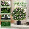 imageGoplus 22 Artificial Boxwood Topiary Ball Tree Set of 2 UV Resistant Faux Potted Plants Artificial Shrubs Bushes with Orange Fruits Fake Evergreen Artificial Topiary for Home Front Porch DecorPurple