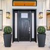 imageGoplus 22 Artificial Boxwood Topiary Ball Tree Set of 2 UV Resistant Faux Potted Plants Artificial Shrubs Bushes with Orange Fruits Fake Evergreen Artificial Topiary for Home Front Porch DecorDark Green