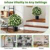 imageGoplus 22 Artificial Boxwood Topiary Ball Tree Set of 2 UV Resistant Faux Potted Plants Artificial Shrubs Bushes with Orange Fruits Fake Evergreen Artificial Topiary for Home Front Porch DecorWhite