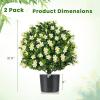 imageGoplus 22 Artificial Boxwood Topiary Ball Tree Set of 2 UV Resistant Faux Potted Plants Artificial Shrubs Bushes with Orange Fruits Fake Evergreen Artificial Topiary for Home Front Porch DecorWhite