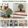 imageGoplus 22 Artificial Boxwood Topiary Ball Tree Set of 2 UV Resistant Faux Potted Plants Artificial Shrubs Bushes with Orange Fruits Fake Evergreen Artificial Topiary for Home Front Porch DecorPurple