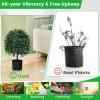 imageGoplus 22 Artificial Boxwood Topiary Ball Tree Set of 2 UV Resistant Faux Potted Plants Artificial Shrubs Bushes with Orange Fruits Fake Evergreen Artificial Topiary for Home Front Porch DecorWhite Fruits