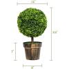 imageGoplus 22 Artificial Boxwood Topiary Ball Tree Set of 2 UV Resistant Faux Potted Plants Artificial Shrubs Bushes with Orange Fruits Fake Evergreen Artificial Topiary for Home Front Porch DecorGreen