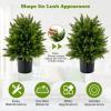 imageGoplus 22 Artificial Boxwood Topiary Ball Tree Set of 2 UV Resistant Faux Potted Plants Artificial Shrubs Bushes with Orange Fruits Fake Evergreen Artificial Topiary for Home Front Porch DecorCedar Tree