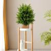 imageGoplus 22 Artificial Boxwood Topiary Ball Tree Set of 2 UV Resistant Faux Potted Plants Artificial Shrubs Bushes with Orange Fruits Fake Evergreen Artificial Topiary for Home Front Porch DecorCedar Tree