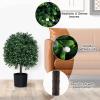 imageGoplus 22 Artificial Boxwood Topiary Ball Tree Set of 2 UV Resistant Faux Potted Plants Artificial Shrubs Bushes with Orange Fruits Fake Evergreen Artificial Topiary for Home Front Porch DecorWhite Fruits