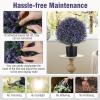 imageGoplus 22 Artificial Boxwood Topiary Ball Tree Set of 2 UV Resistant Faux Potted Plants Artificial Shrubs Bushes with Orange Fruits Fake Evergreen Artificial Topiary for Home Front Porch DecorLavender