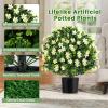 imageGoplus 22 Artificial Boxwood Topiary Ball Tree Set of 2 UV Resistant Faux Potted Plants Artificial Shrubs Bushes with Orange Fruits Fake Evergreen Artificial Topiary for Home Front Porch DecorWhite