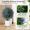 imageGoplus 22 Artificial Boxwood Topiary Ball Tree Set of 2 UV Resistant Faux Potted Plants Artificial Shrubs Bushes with Orange Fruits Fake Evergreen Artificial Topiary for Home Front Porch DecorWisteria