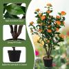 imageGoplus 38 Artificial Camellia Tree Flower Plants Artificial Tree Faux Floral Plant Blooming Tree in Cement Pot Greenery Potted Plant for Indoor Outdoor Office Home Porch DecorOrange