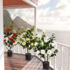 imageGoplus 38 Artificial Camellia Tree Flower Plants Artificial Tree Faux Floral Plant Blooming Tree in Cement Pot Greenery Potted Plant for Indoor Outdoor Office Home Porch DecorRed