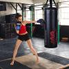 imageGoplus Punching Bag Set with Gloves 22LBS 40LBS Filled Kick Boxing Bag Rucksack Jump Rope Firm Hook Heavy Bag for Kids Youth Adults MMA Training Muay Thai Krav MAGA Taekwondo Karate40 LBS