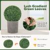 imageGoplus 2 PCS 157 Inch Artificial Plant Topiary Ball Round Faux Boxwood Balls Outdoor Garden Spheres Decorative for Front Door Porch Backyard Balcony Patio Wedding and Home Dcor16 Inch