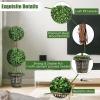 imageGoplus 4 Ft Artificial Boxwood Topiary Fake Greenery Plants Ball Leaves ampamp CementFilled Plastic Flower Pot Decorative Trees for Home Office Indoor Outdoor2
