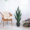 imageGoplus Fake Snake Plant 2 Pack 36quot Tall Artificial Potted Floor Plant Large Faux Sansevieria Plant with 6 Pot and 20pcs Leaves for Living Room House Modern Office Indoor DecorGreen  2 Pack