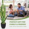 imageGoplus Fake Snake Plant 2 Pack 36quot Tall Artificial Potted Floor Plant Large Faux Sansevieria Plant with 6 Pot and 20pcs Leaves for Living Room House Modern Office Indoor DecorGolden
