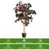 imageGoplus 4FT Tall Artificial Ficus Tree Greenery Fake Tree Faux Plant in Pot for Indoor Outdoor Home Dcor