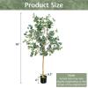 imageGoplus 55ft Artificial Eucalyptus Tree 2 Pack Tall Faux Eucalyptus Stems Fake Plants in Pot with 517 Silver Dollar Leaves Artificial Trees for Office House Living Room Home Decor Indoor2