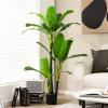 imageGoplus 5ft Bird of Paradise Artificial Plant Fake Tropical Palm Tree with 18 Large Leaves Cement Pot Moss Floor Silk Banana Leaf Plant Faux Plant for Indoor Outdoor Home Office Decor