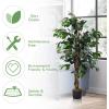 imageGoplus 6FT Artificial Ficus Silk Tree Potted Fake Tree wGreen Leaves and Natural Trunk Maintenance Free Tall Faux Plant for Indoor Outdoor Decoration4 feet