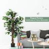 imageGoplus 6FT Artificial Ficus Silk Tree Potted Fake Tree wGreen Leaves and Natural Trunk Maintenance Free Tall Faux Plant for Indoor Outdoor Decoration4 feet