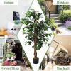 imageGoplus 6FT Artificial Ficus Silk Tree Potted Fake Tree wGreen Leaves and Natural Trunk Maintenance Free Tall Faux Plant for Indoor Outdoor Decoration4 feet