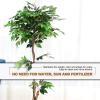 imageGoplus 6FT Artificial Ficus Silk Tree Potted Fake Tree wGreen Leaves and Natural Trunk Maintenance Free Tall Faux Plant for Indoor Outdoor Decoration55 Feet