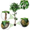 imageGoplus 6FT Artificial Ficus Silk Tree Potted Fake Tree wGreen Leaves and Natural Trunk Maintenance Free Tall Faux Plant for Indoor Outdoor Decoration55 Feet