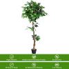 imageGoplus 6FT Artificial Ficus Silk Tree Potted Fake Tree wGreen Leaves and Natural Trunk Maintenance Free Tall Faux Plant for Indoor Outdoor Decoration55 Feet