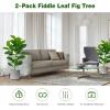 imageGoplus Fake Fiddle Leaf Fig Tree 2Pack 33 FT Tall Artificial Tree Greenery Plants in Pots W40 Leaves Decorative Faux Trees for Indoor Home Office355