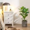 imageGoplus Fake Fiddle Leaf Fig Tree 2Pack 33 FT Tall Artificial Tree Greenery Plants in Pots W40 Leaves Decorative Faux Trees for Indoor Home Office355