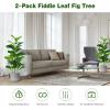 imageGoplus Fake Fiddle Leaf Fig Tree 2Pack 33 FT Tall Artificial Tree Greenery Plants in Pots W40 Leaves Decorative Faux Trees for Indoor Home Office395