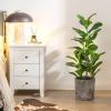 imageGoplus Fake Fiddle Leaf Fig Tree 2Pack 33 FT Tall Artificial Tree Greenery Plants in Pots W40 Leaves Decorative Faux Trees for Indoor Home Office395