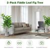 imageGoplus Fake Fiddle Leaf Fig Tree 2Pack 33 FT Tall Artificial Tree Greenery Plants in Pots W40 Leaves Decorative Faux Trees for Indoor Home Office51
